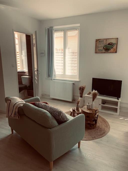 Studio Girafe, Style Boheme Et Atypique, Curistes Luxeuil-les-Bains Dış mekan fotoğraf